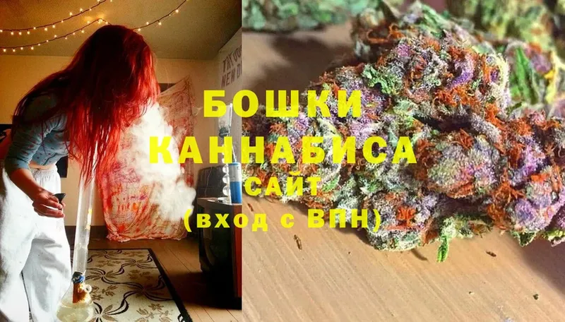 Шишки марихуана SATIVA & INDICA  продажа наркотиков  Ладушкин 